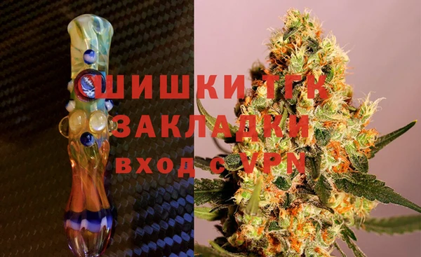 гашик Алексин