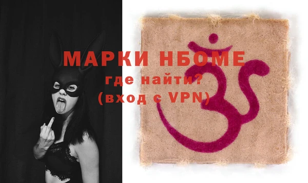 гашик Алексин