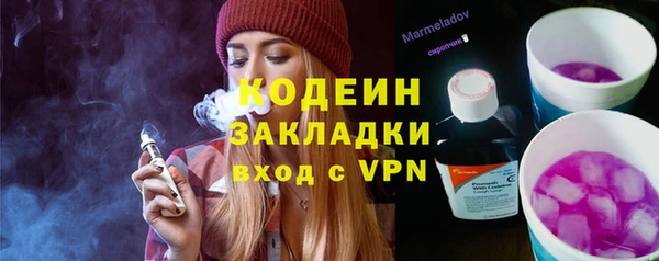 гашик Алексин