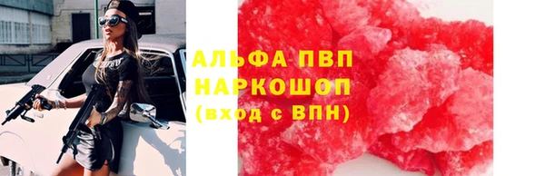 гашик Алексин