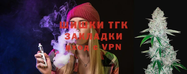 молекула духа Алексеевка