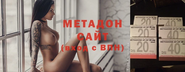 гашик Алексин