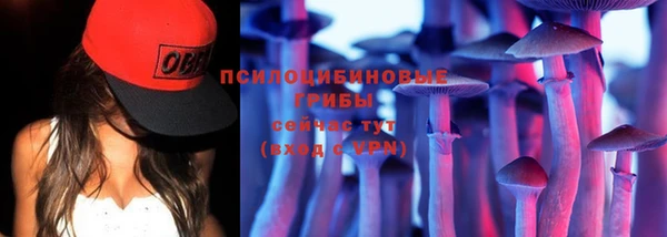 твердый Алзамай