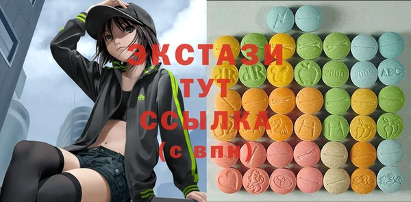 гашик Алексин
