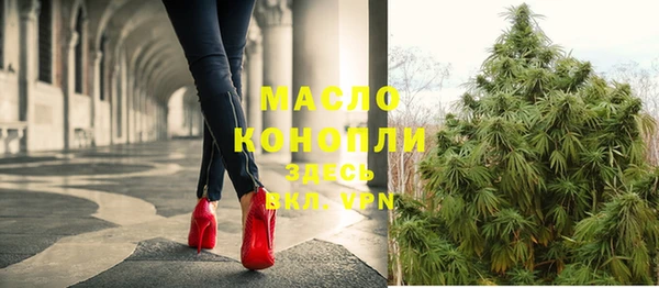 молекула духа Алексеевка