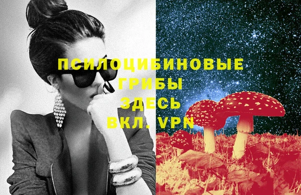молекула духа Алексеевка
