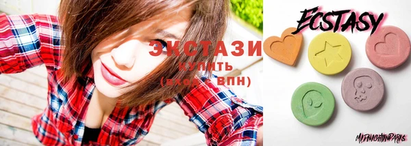 гашик Алексин