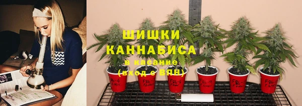 гашик Алексин