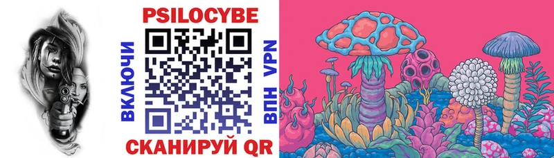 darknet наркотические препараты  Аргун  Псилоцибиновые грибы мицелий  как найти закладки  кракен ССЫЛКА 
