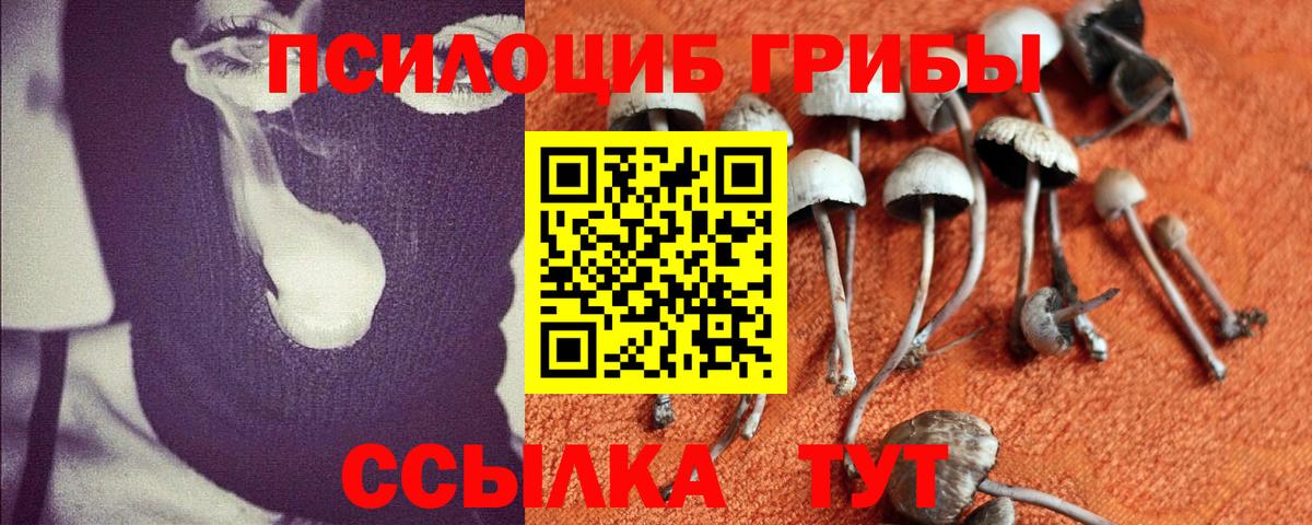 Галлюциногенные грибы Psilocybe  Псилоцибиновые грибы ЛСД  Аргун  Вход с VPN 