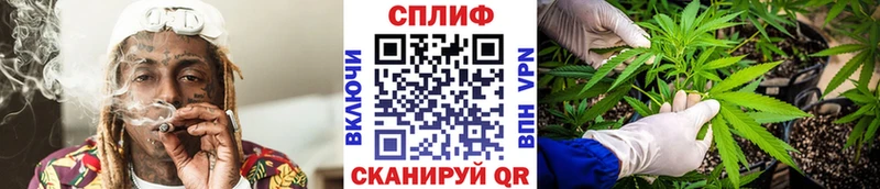Бошки Шишки семена  наркотики  Аргун 